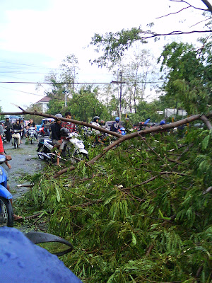 pratatan gsp