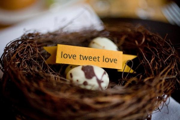 [Sara France Photo love tweet love lovebird theme nest eggs[4].jpg]