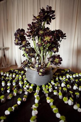 [SucculentEscortcarddisplay10.jpg]