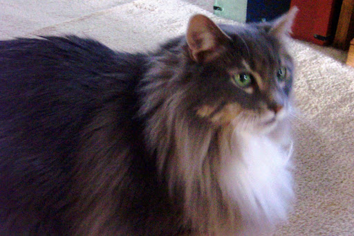 Kitty Keller