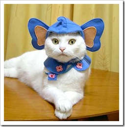cat-costume