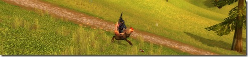 midsummer_chicken_tb2