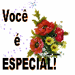 Voc� � Especial - Recados e Imagens para Orkut
