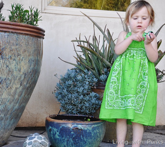 [st paddys dress 065[3].jpg]
