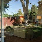 DSC07048.JPG