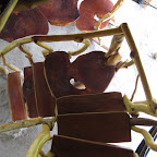 IMG_5432.JPG