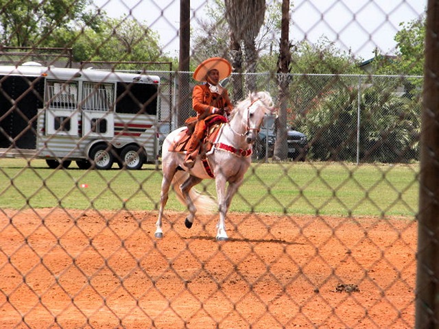 [mexican dancing horses3[2].jpg]