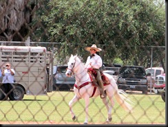 mexican dancing horses5