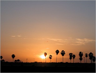 sunset sunset