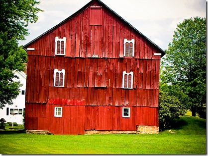Old Red Bard Old Red Bard