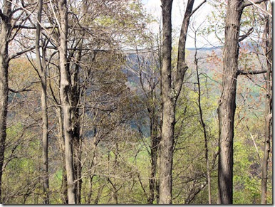 sugarloaf overlook