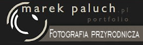 Fotografia przyrodnicza Marek Paluch