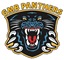 gmb Panthers Logo