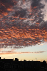 Autumn Sky