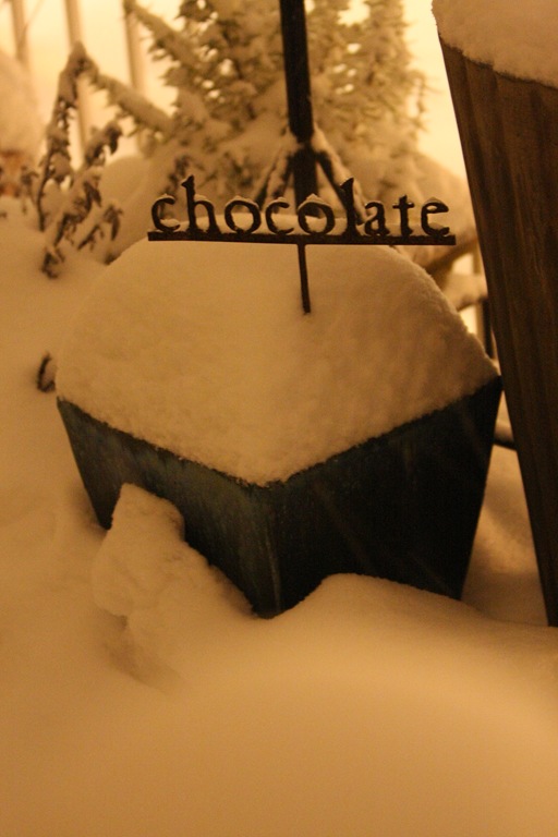 [SnowyPlanter[3].jpg]