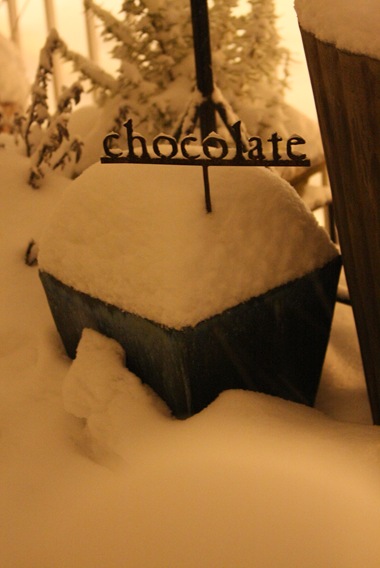 SnowyPlanter