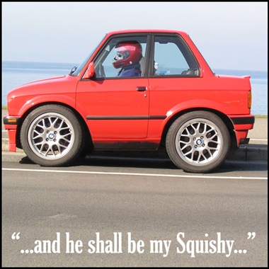 Squishy