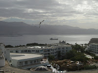 IMG_2129.JPG