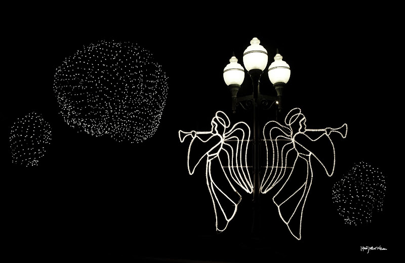 December Lights 2009