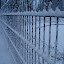 20100103_5097.JPG
