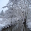 20100103_5108.JPG