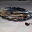 18042010567.jpg