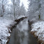 20091213_5045.JPG