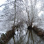 20091213_5050.JPG