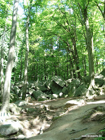 20100605_5900.JPG