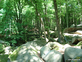 20100605_5902.JPG
