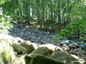 20100605_5904.JPG