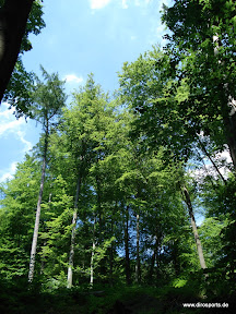 20100605_5911.JPG