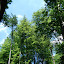 Traumwetter