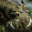 20100720_6641.JPG