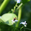 20100719_6355.JPG