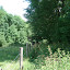 Weg durch das Dickicht hinunter nach Steinbach (Hilders)