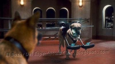 El Bazar del Espectaculo Cine_11.jpg