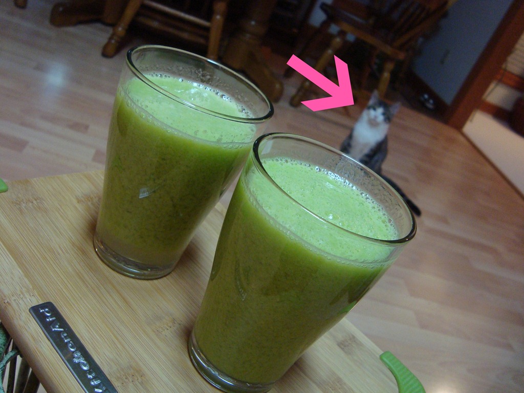 [juice-party_georgie4.jpg]