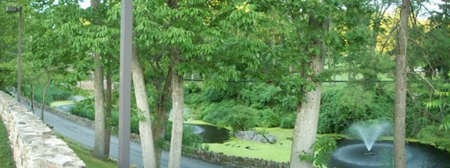 [215_0826[3].jpg]