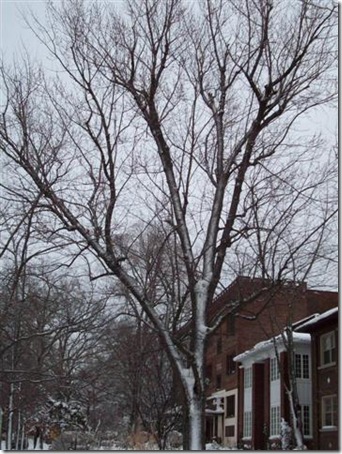 215_4229 (Small)