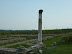 P1000724.JPG