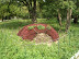 curte_domneasca_targoviste_0033.JPG