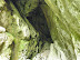 P1000346.jpg