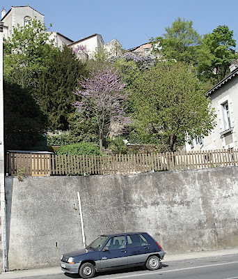 multi-level garden in Poitiers