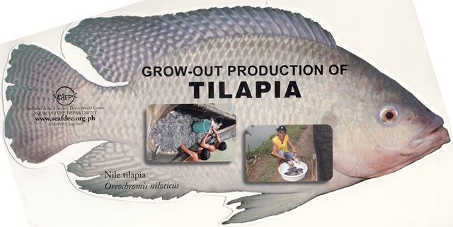 [Grow-out production of Tilapia[5].jpg]