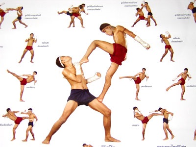 [Muay Thai  Techniques[3].jpg]