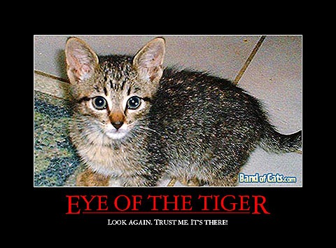 [cat-inspirational-poster_22[7].jpg]
