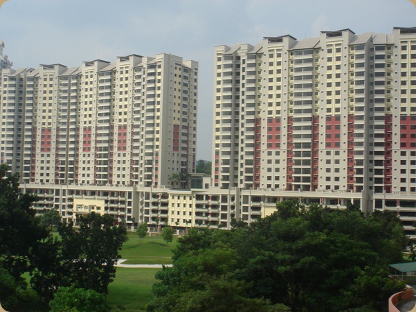 DSC00528