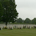 21jun-05Bayeux.JPG