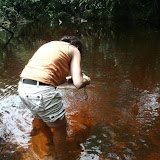 foto009.jpg